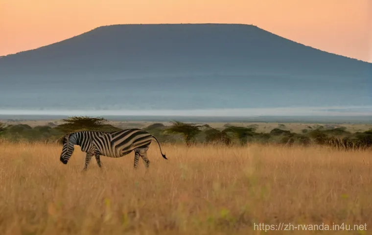 르완다에서의 안전한 사파리 경험 - **Mountain Gorilla Encounter in Volcanoes National Park**
A breathtaking, realistic image of a s... 르완다에서의 안전한 사파리 경험 - **Mountain Gorilla Encounter in Volcanoes National Park**
A breathtaking, realistic image of a s...